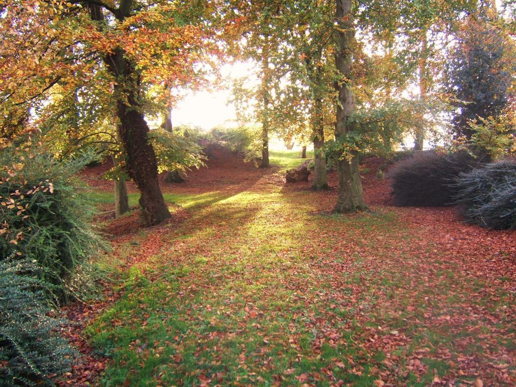 Coolanowle Self Catering Holiday Accommodation Carlow Dış mekan fotoğraf